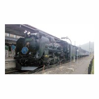 C58239 SL 