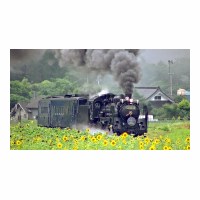 C58239 SL ʿ-­