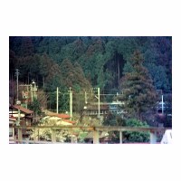 ED1610 褦ʤED16 