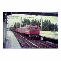 EF8187