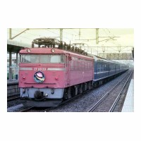 EF8029 ݥɥ꡼ 20