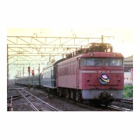 EF8039 ݥɥ꡼ 20