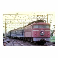 EF8039 ݥɥ꡼ 20