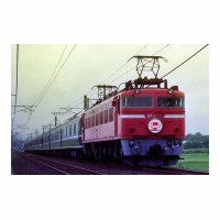 EF8114 ݥ饤ʡ 20