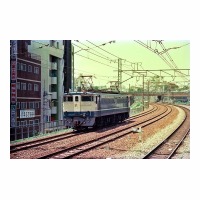 EF651106 ȿ