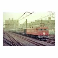 EF8181 ۥå 