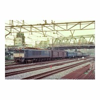 EF641014 