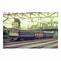 EF65528 