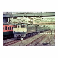 EF651004 󥫡ʤˤ Į