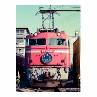 EF8181 ٥86 üž