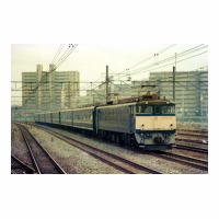 EF6241 81 ߥȺ դ줢 