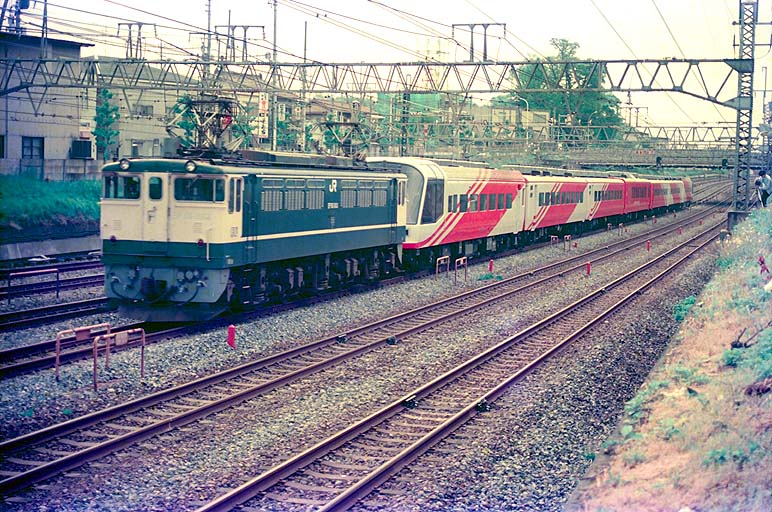 EF651013 ѡץ쥹쥤ܡޤĤ -̱