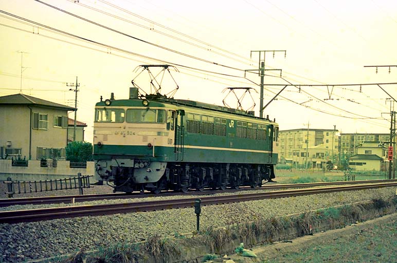 EF65524 ̹-