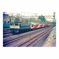 EF651013 ѡץ쥹쥤ܡޤĤ -̱