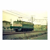 EF65524 ̹-