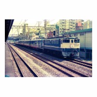 EF651113  Į