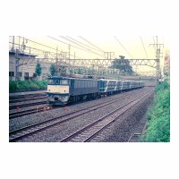 EF6249  ʤ䤫 -̱