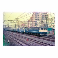 EF651016  ʤ䤫 -̱