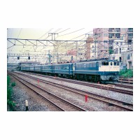 EF651030 Ȭ -̱