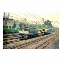 EF651023 ż 80 -̱