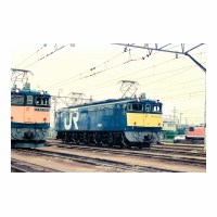 EF651059 ḫض
