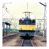 EF651059 ḫض