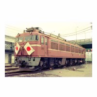 EF8181 ü