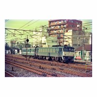 EF6249 ޥ34 ë