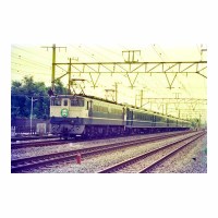 EF651115 Ʋ- 