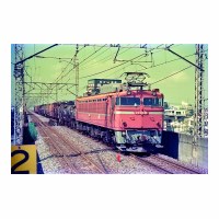 EF8181 ë