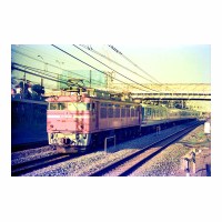 EF8184 䤹餮 ̾