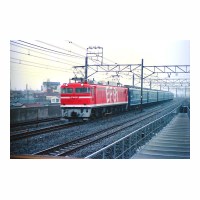 EF8195 81 դ줢 ߥȺ ͭ
