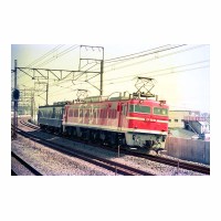 EF8195 ޥ34 ͭ