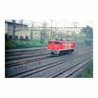 EF651019 -̱