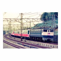 EF651118 Ұ