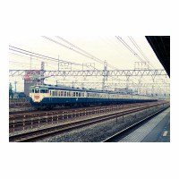 113 Ҥޤ Į
