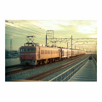 EF8179  ʤ䤫 ͭ