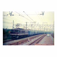 EF641001 
