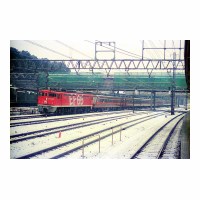 EF651019 󥨥ץ쥹  Τ