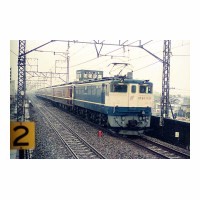 EF651030 Ĥ ë
