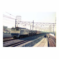 EF651031 ͭ