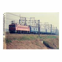 EF8183 24ϵҼ
