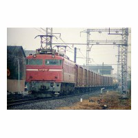 EF8181 -Į