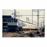 EF651015 䤹餮 -Į