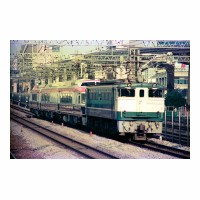 EF651129 ¼õ Į