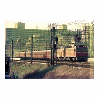 EF8183 ꥨȥ롼 Į-
