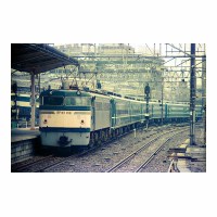 EF65106  