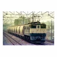 EF651039 ή