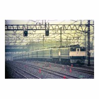 EF651016 -̱