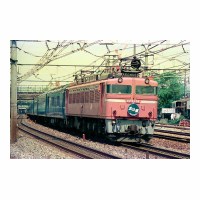 EF8194  ë